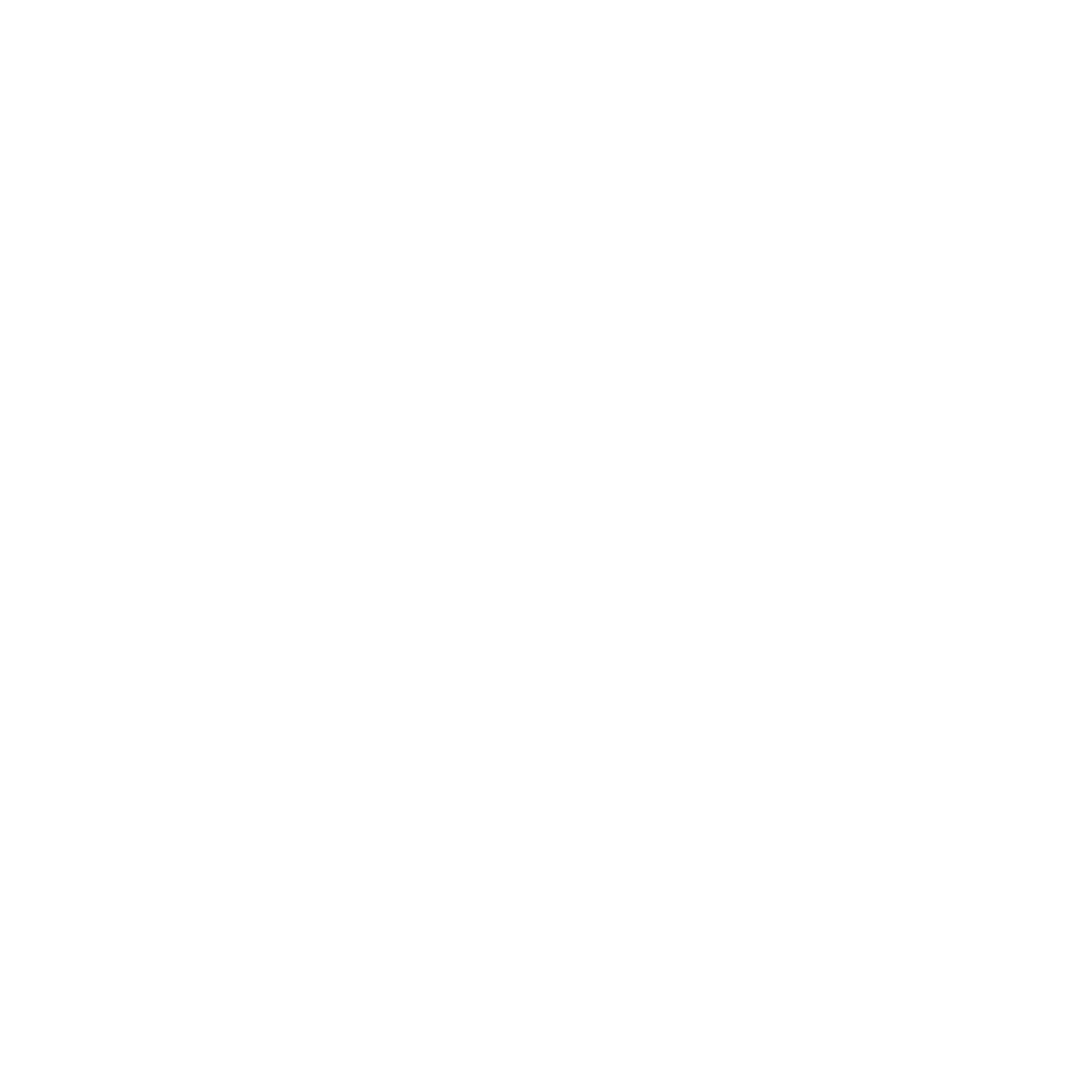 PicDB logo